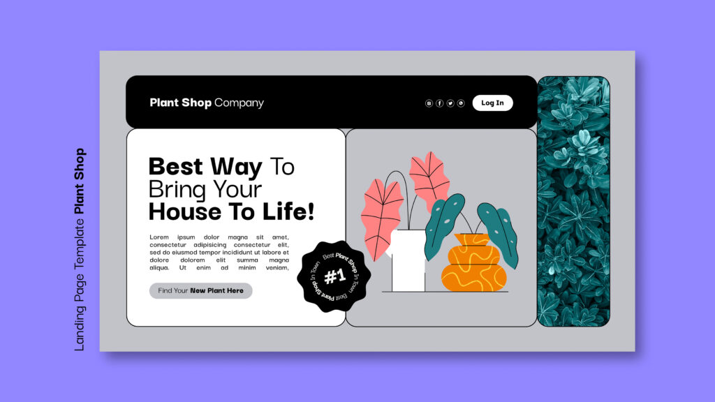 Minimalist vs. Maximalist Web Design